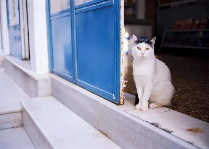 Luxury Naxos Superior Quadruple Center Modern Villa *